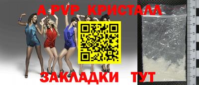 индика Нальчик