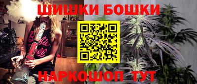 индика Нальчик