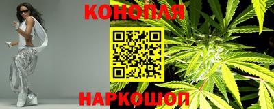 индика Нальчик