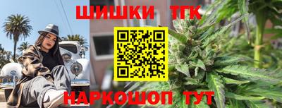 индика Нальчик