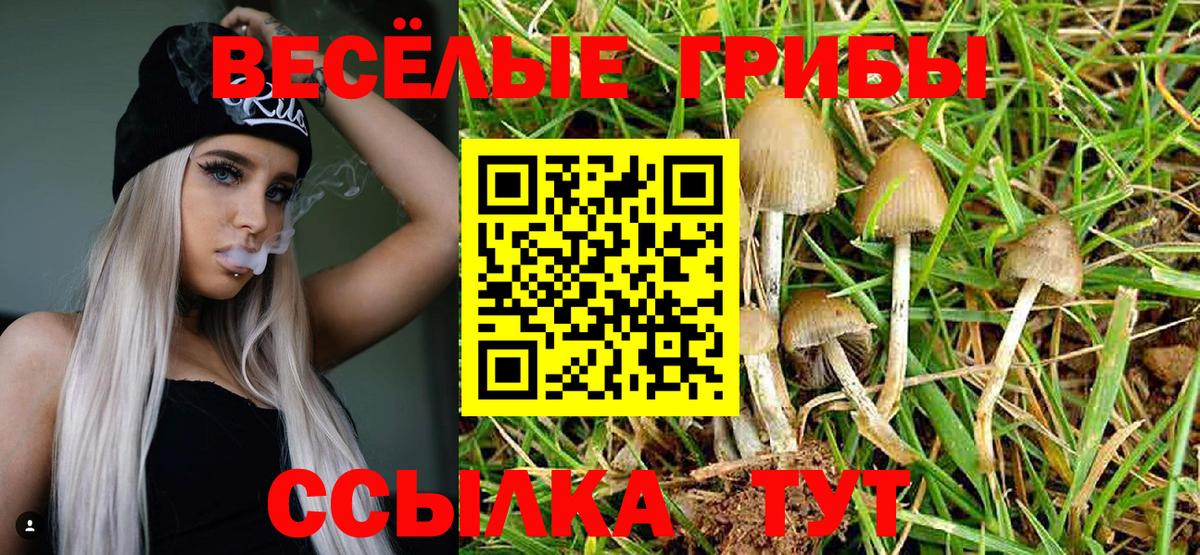Галлюциногенные грибы MAGIC MUSHROOMS Новотроицк